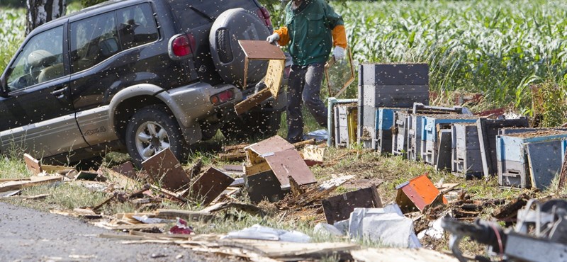 Ilyen, amikor traumatizált méhek blokkolják a 74-es főutat – fotók