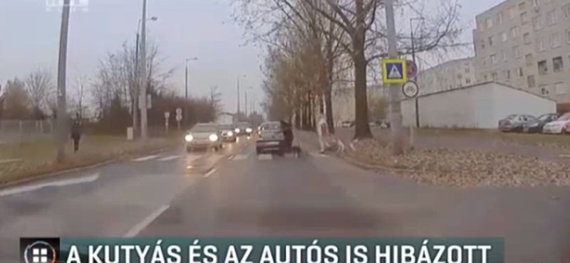 VIDEÓ: Botot hajítottak egy kocsi után, mert nem állt meg a zebránál, és majdnem kutyát gázolt
