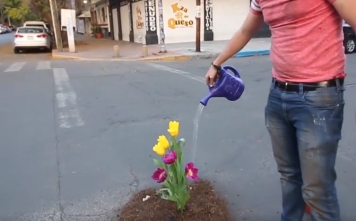 VIDEÓ: Mi is tegyünk virágot a kátyúba? Szebbek lennének az útjaink…