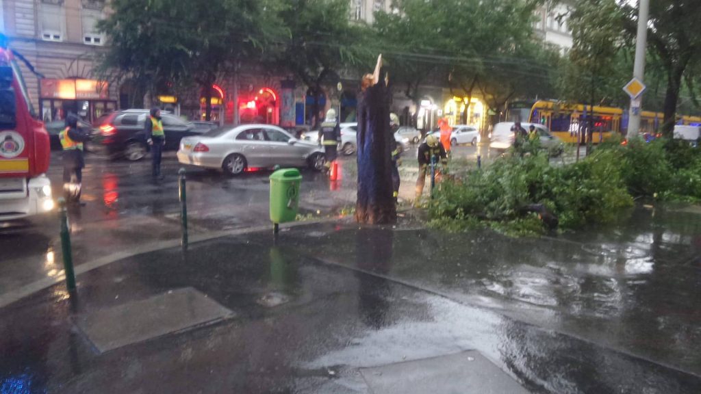 Villamosvezetékre és autóra dőlt egy fa a Ferenc körúton, a Tompa utcánál