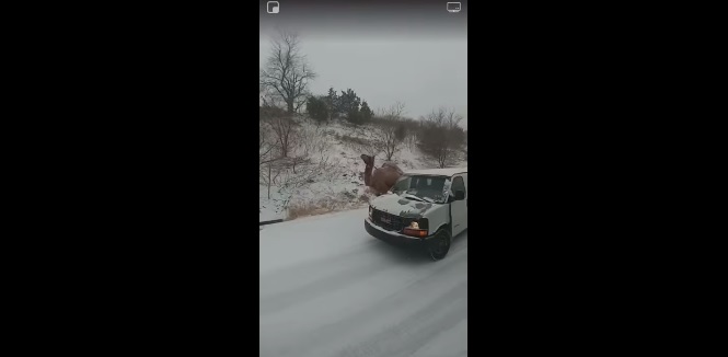Videó – Ilyen trükköt még garantáltan nem láttál, hogy felmenjen az emelkedőn a kocsi a hóban!
