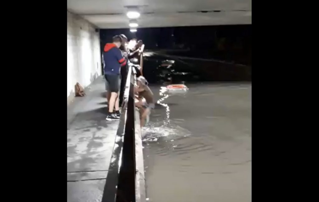 VIDEÓ: Siralmas, ahogy a szennyvízbe ugrálnak a fiatalok, a szolnoki aluljáróban