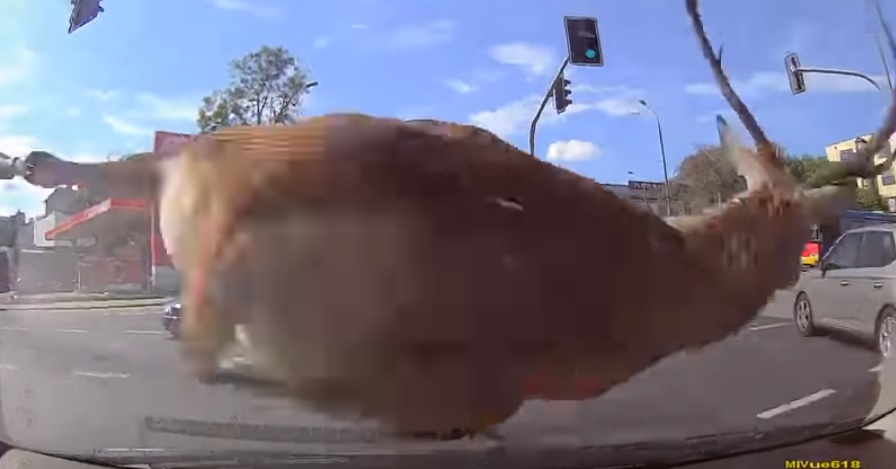 Videó – A baleset a belvárosban, amit nehezen hinnél el, ha nem veszik videóra
