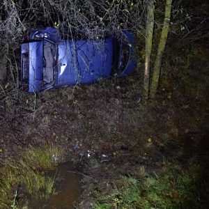 Figyelmeztetést adtak ki az autósoknak, ezt tegye, ha vad ugrik a kocsija elé