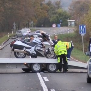 Videó – Közel 200 kilós szarvas rúgta le a motorról a sofőrt és az utasát