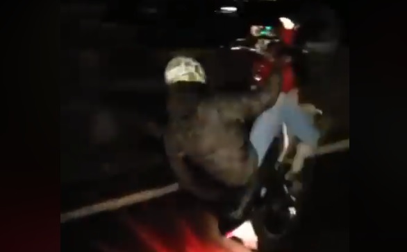 Videó – Egyik kutya, másik eb- Brutálisan verte telibe az egykerekező motorost az autós