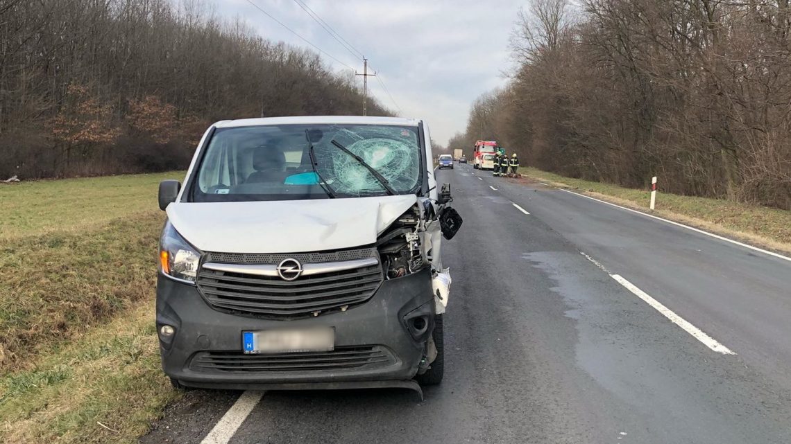 FOTÓK: Két autó tört össze egy vadgázolásos balesetben – casco nincs, a kár jelentős FOTÓK: Két autó tört össze egy vadgázolásos balesetben – casco nincs, a kár jelentős