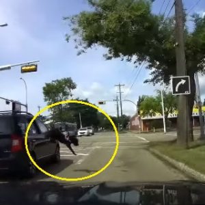 VIDEÓ: Kiugrott a kutya az anyósülésről épp egy autó elé – Nem a gazdin múlott, hogy életben maradt