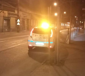 Állatmentő liga: „háborús helyzet” volt az utcákon. Még mentőautónkat is megdobálták petárdával