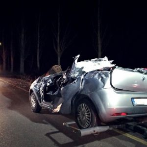 Tegnap emberéletet követelt a vihar – Menet közben zuhant rá a hatalmas fa az autósra
