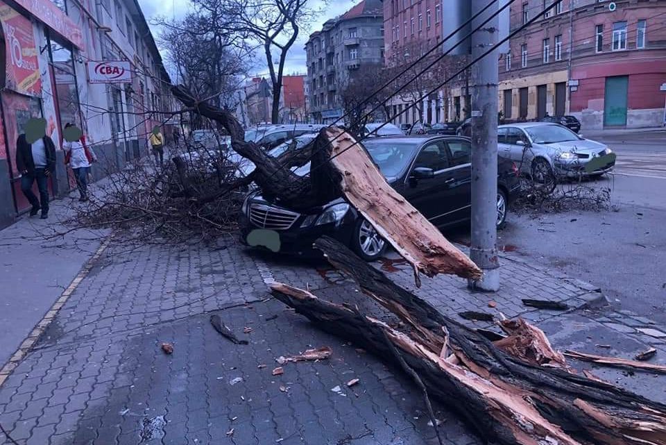 Az érkező CIARA vihar veszélyeire figyelmeztet a Katasztrófavédelem és az OMSZ Az érkező CIARA vihar veszélyeire figyelmeztet a Katasztrófavédelem és az OMSZ