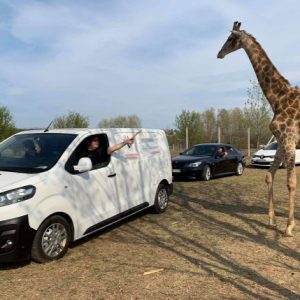 Autós szafaripark nyílik Magyarországon