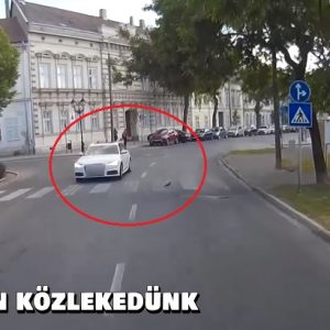 VIDEÓ: Tudja és tudja, pedig ő csak egy galamb