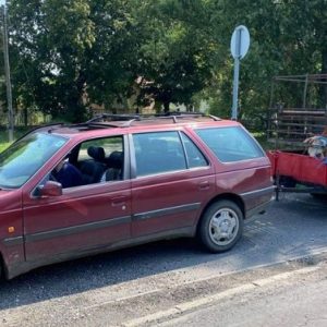 Tehénnel az utánfutóján, 40 km/h-val döcögött az M7-esen egy autós