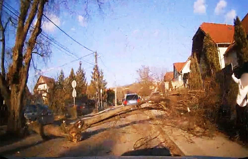 VIDEÓ: Páran újjászülettek ma délután Csömörön. Hatalmas fa dőlt az útra, amit egy teherautó rántott ki VIDEÓ: Páran újjászülettek ma délután Csömörön. Hatalmas fa dőlt az útra, amit egy teherautó rántott ki