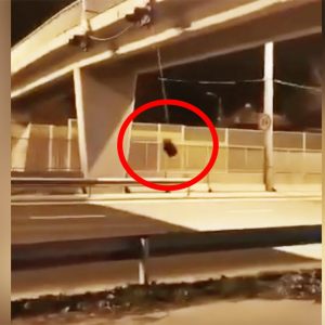 Videón, ahogy nekihajt a leszakadt fényjelzőnek hajnalban egy autós az M3-ason