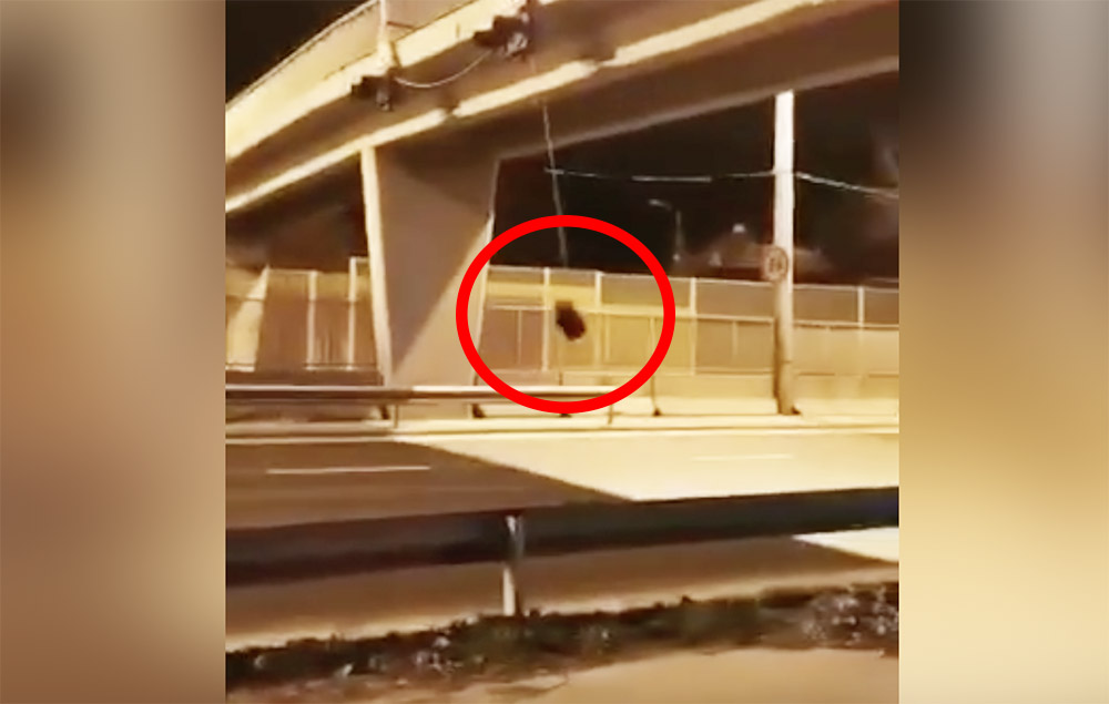 Videón, ahogy nekihajt a leszakadt fényjelzőnek hajnalban egy autós az M3-ason