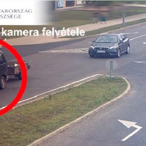 VIDEÓ: Lisztes zsákba csomagolva, utánfutón szállított kiskutyákat és egy kecskét – Állatkínzás miatt emeltek vádat a sofőr ellen