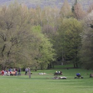 Fizetőssé tették a parkolást a visegrádi Apátkúti völgynél