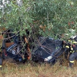 FOTÓK: Feszítővágóval szabadították ki a sofőrt, aki felcsavarodott autójával egy fára Debrecennél