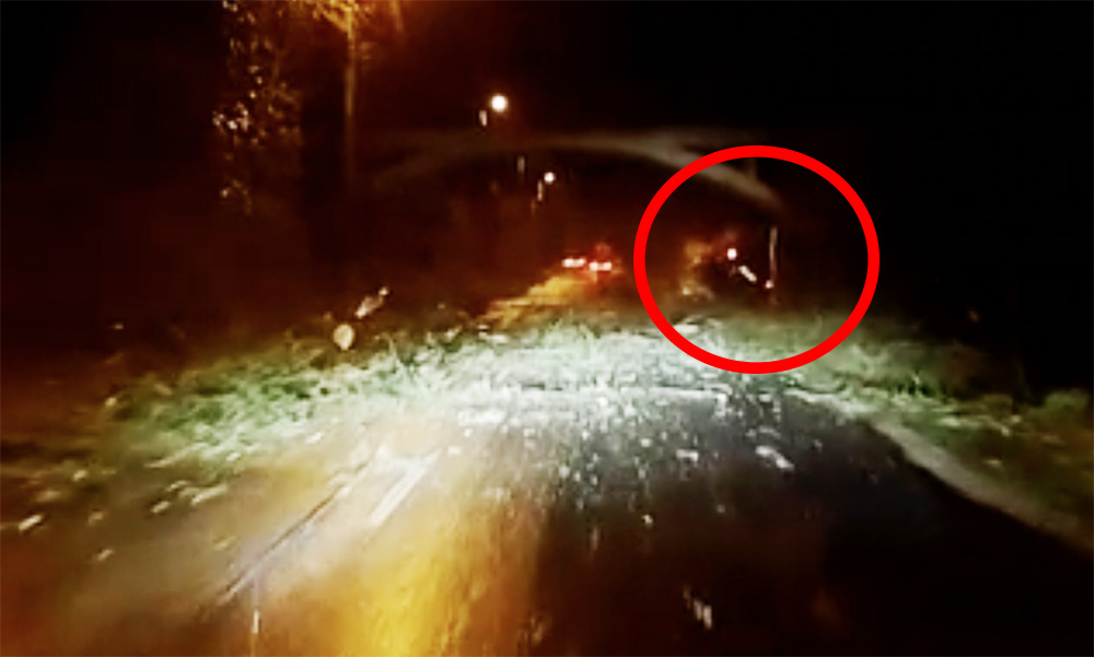 Videón, ahogy haladó autóra zuhan egy fa, a 2. kerületben