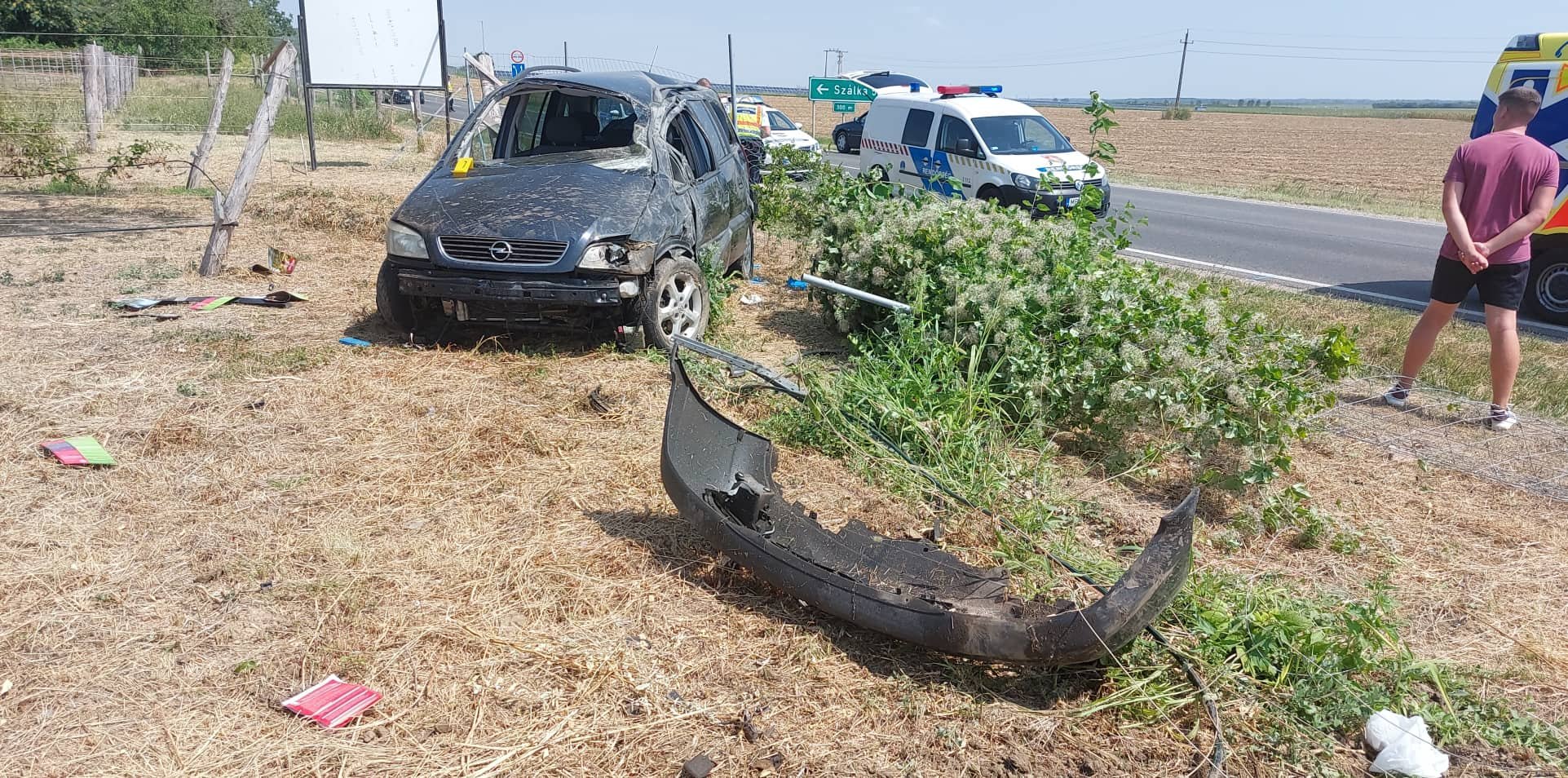 FOTÓK: Darázs repült az autóba, ki akarta hesegetni, de csúnya baleset lett a vége