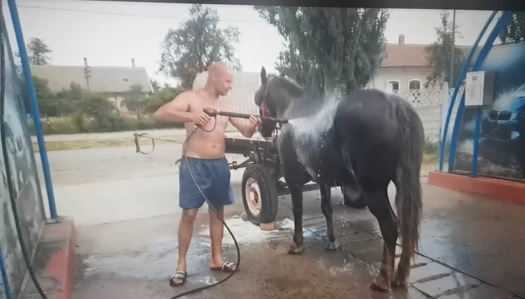 VIDEÓ: Autómosóba vitte hűsölni lovát egy sepsiszentgyörgyi férfi