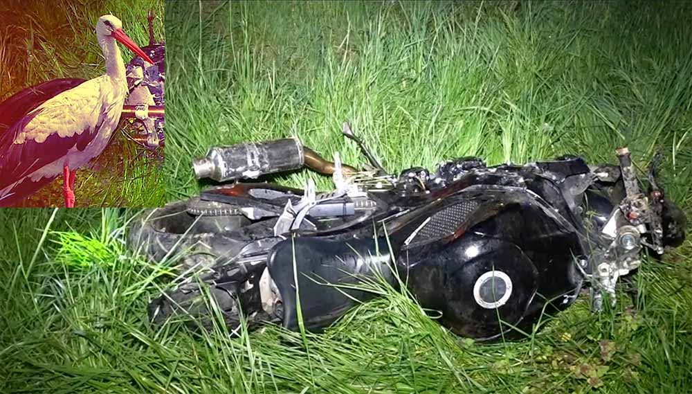 VIDEÓ: Gólyával ütközött egy motoros. Meghalt