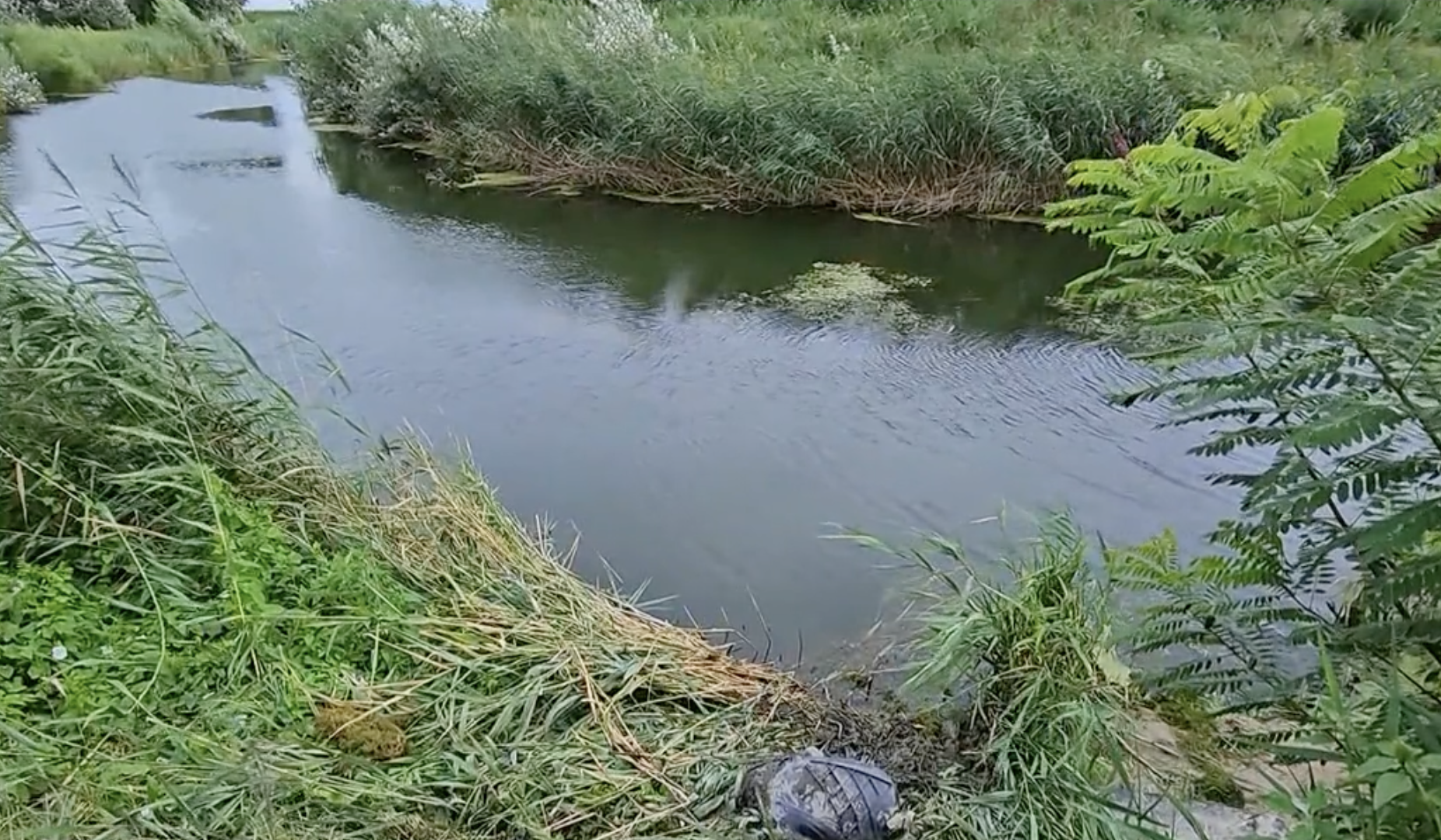 VIDEÓ: Megfulladt az autójában, mert egy csatornába zuhant. Másnap találtak rá