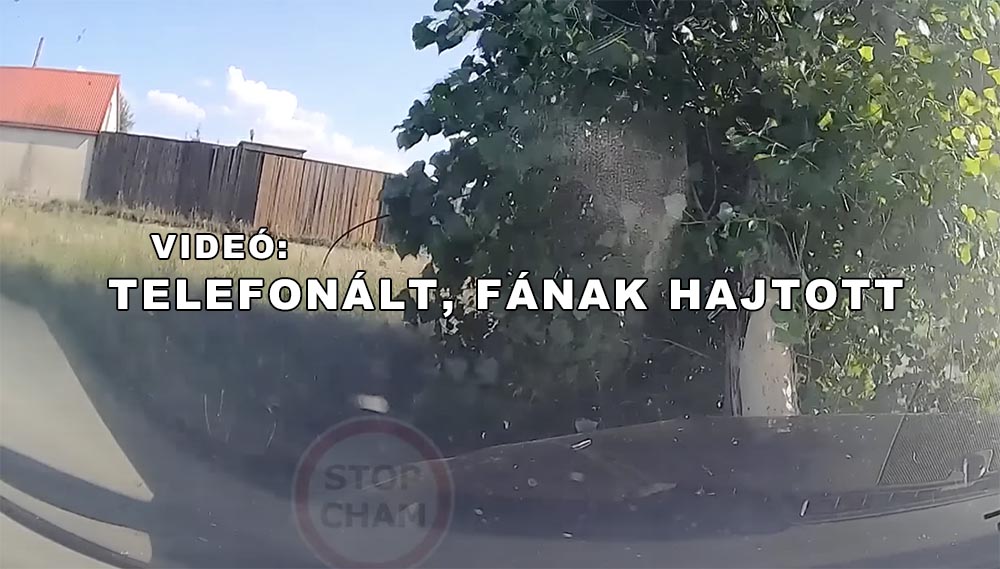 VIDEÓ: A kamerás autó sofőrje annyira belemerült a telefonálásba, hogy egy fának hajtott