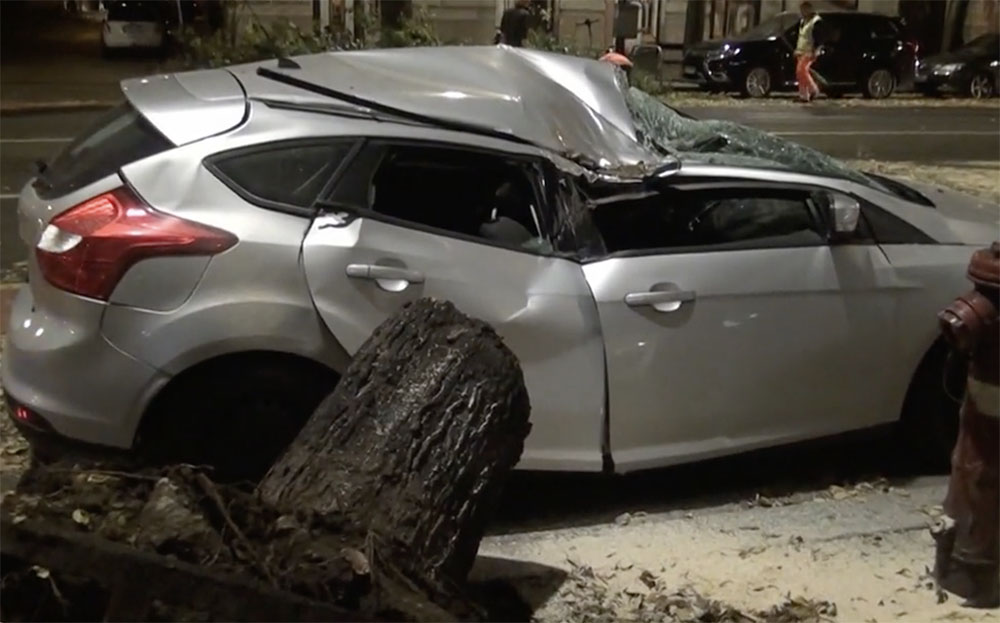 Egy csaknem tíz méter magas, korhadt fa zuhant rá egy autóra az Andrássy úton