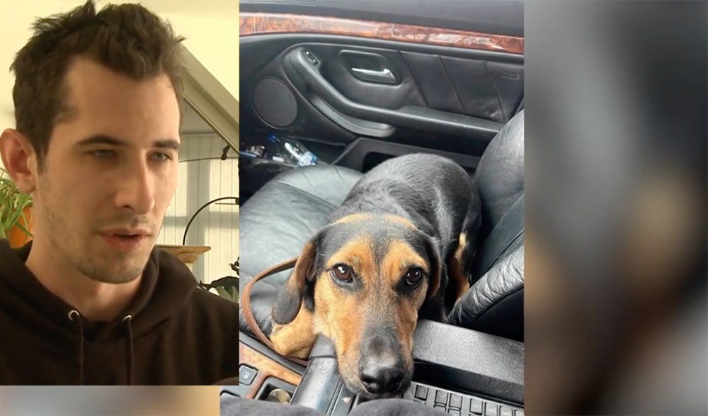 Megszólalt a kutyáját autójával pórázon vonszoló sofőr – VIDEÓ