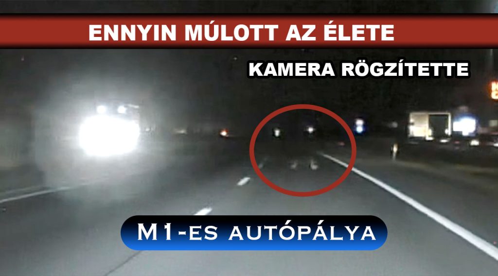 Ennyin múlott az élete! Koromsötétben, keresztbe szaladt át az autópályán