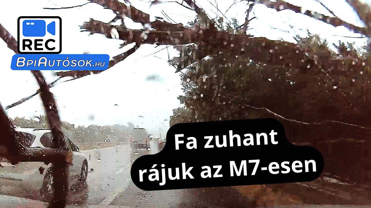 A tegnapi vihar közben az M7-esen zuhant egy hatalmas fa olvasónk autójára – Videón a drámai pillanat