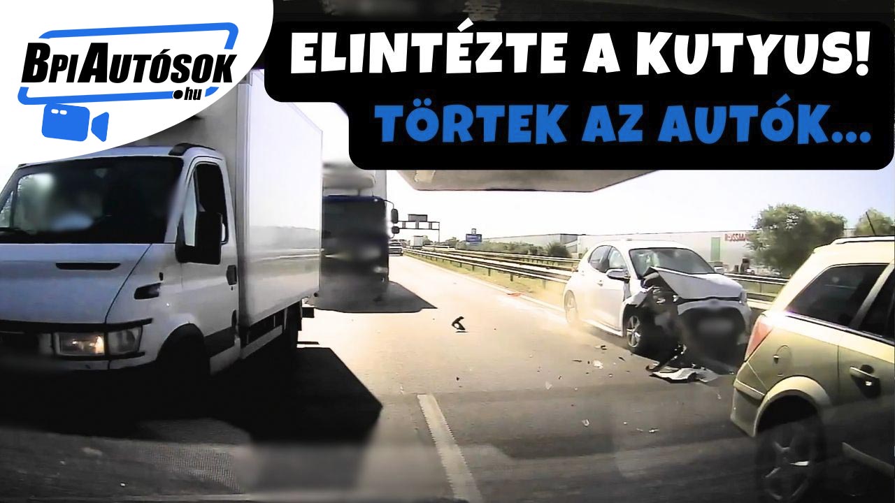 Felvételen a drámai pillanatok: kutya miatt öt jármű ütközött az M4-esen – olvasónk bravúrosan úszta meg