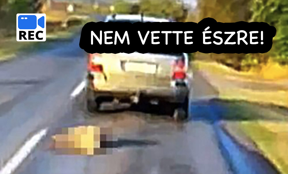 Nem vette észre, hogy közel 100-zal húzta maga után a kutyát