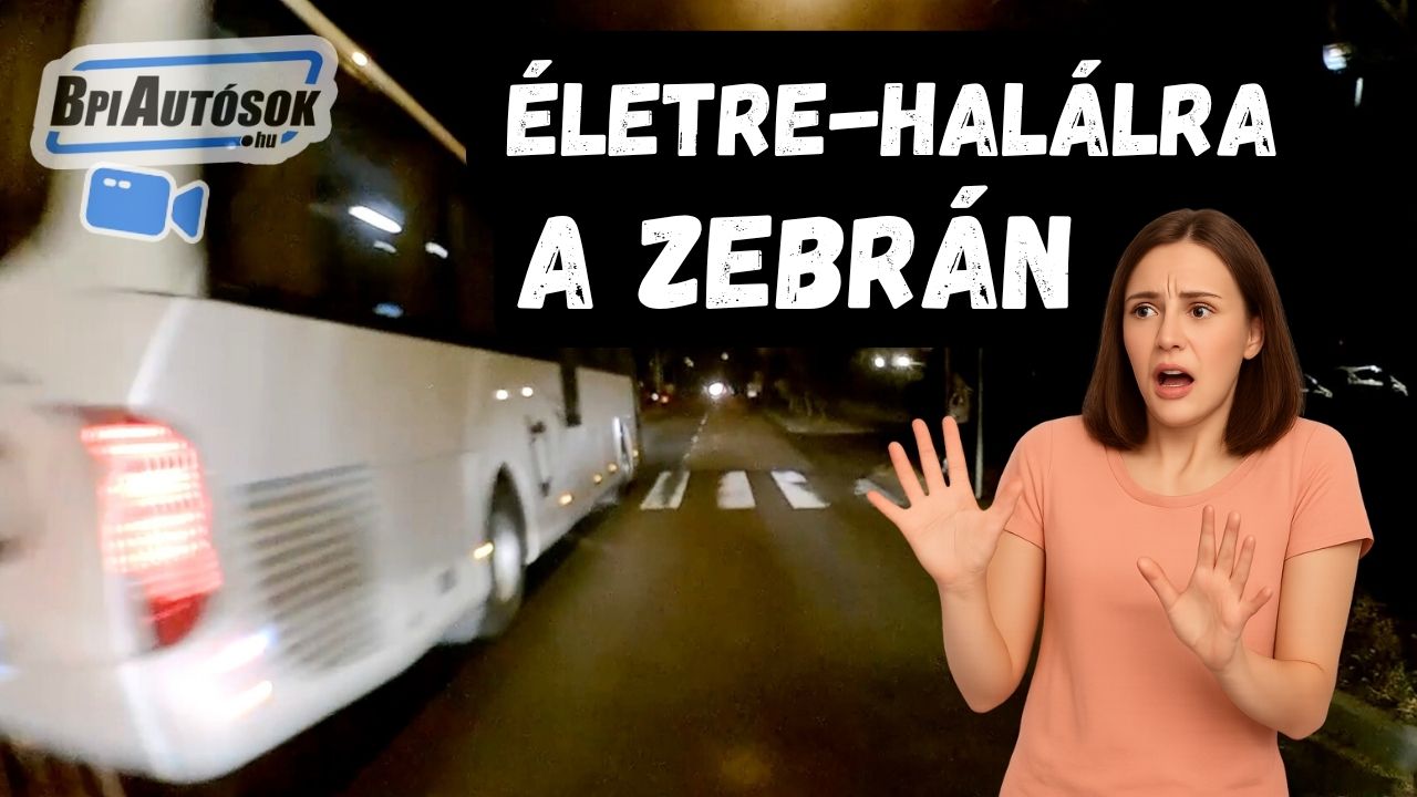 Küzdelem a zebrán életre-halálra